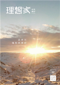 《理想家》星空电子美好集团<br>（2019年第8期）
